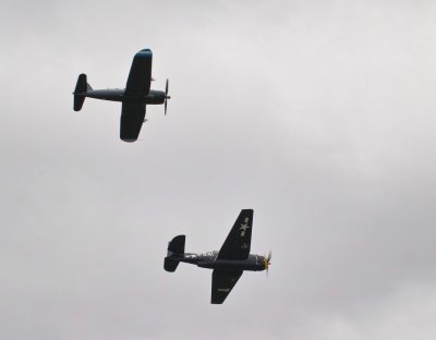 g9/50/793550/3/162786462.RS4cmY5y.jpg