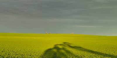 g9/50/793550/3/163862542.9VQJkj5H.jpg