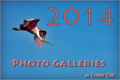 2014 Photo Gallery