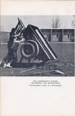 Re-sodding the Soccer Field