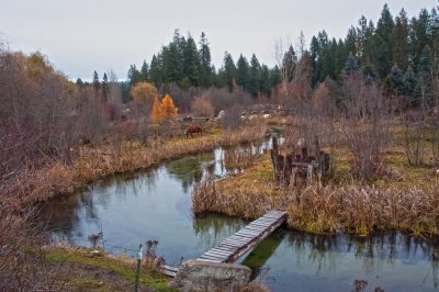 Little Spokane River - Elk, WA