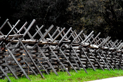 FENCES OF A DARK TIME 