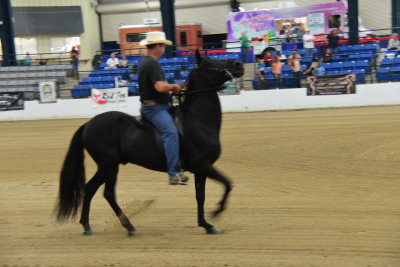 This was the horse show at the Kentucky Horse Park 10/05/2013...