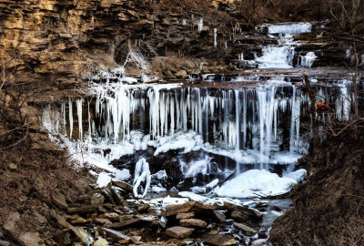 FROZEN IN TIME