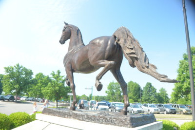 A STANDARD BRED