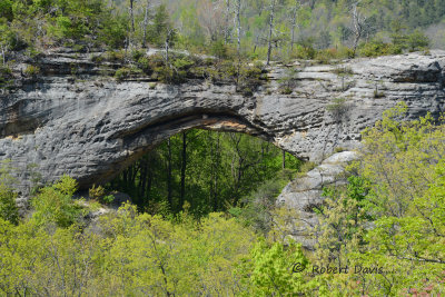 THE LARGE NATURAL ARCH