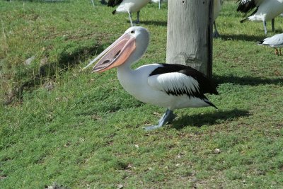 IMG_8182.JPG