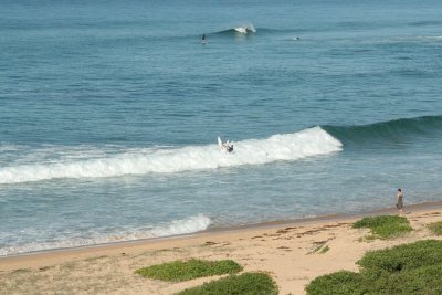 IMG_8310.JPG