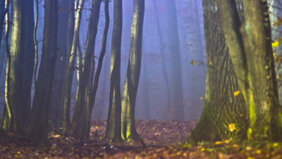 g9/50/867650/3/158033508.O5CwYKxl.jpg