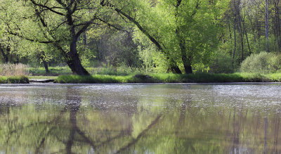 _MG_5227.jpg