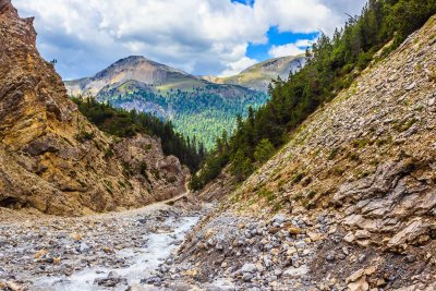 _MG_6178.jpg