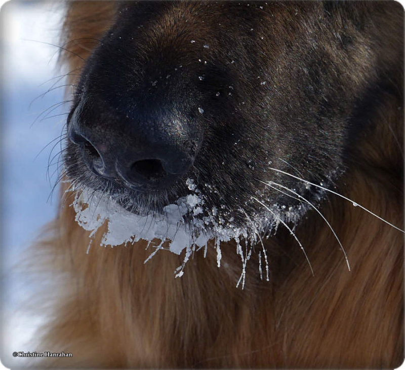 Baby, it's cold outside!