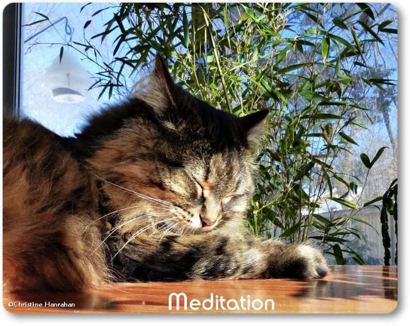 M is for Meditation