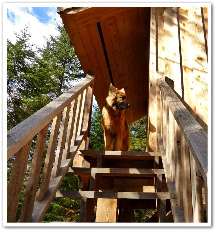 Sasha at the treehouse