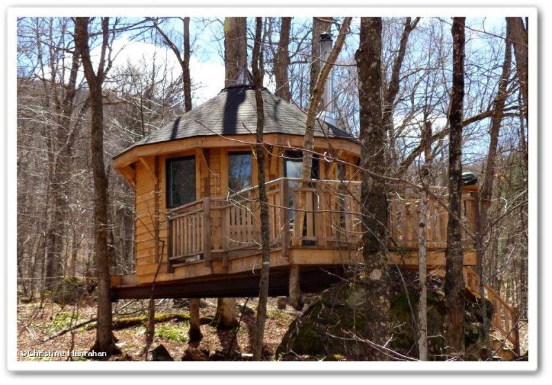 The Yurt treehouse