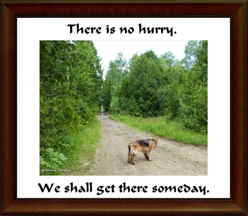 There is no hurry...