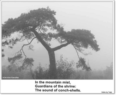 Mountain mist
