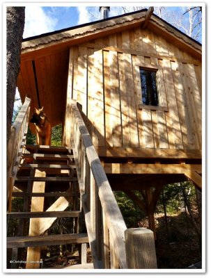 Cabin on stilts, AKA The Treehouse