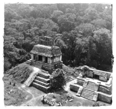 Palenque-Chiapas-Mexico 