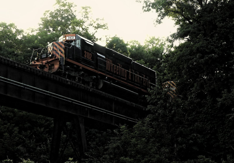 Wheeling, Trees, Bridge