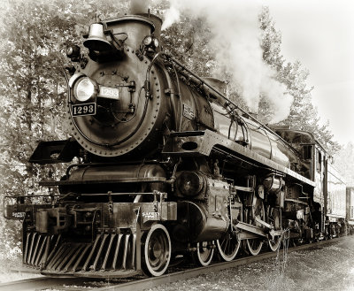 The 1293 in Black and White