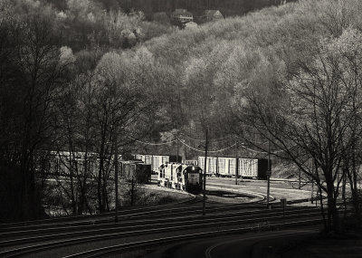 Yard in the Hills