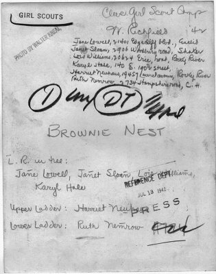 brownie_nest_reverse.jpg