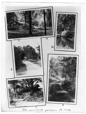 collage2.jpg
