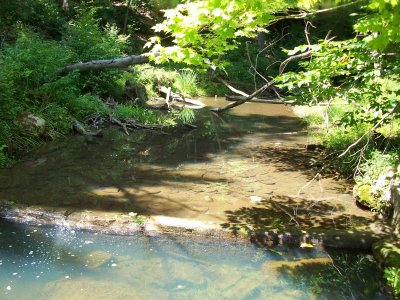 Creek that runs past Garfield Lodge.jpg