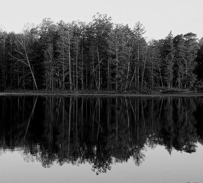 Trees, Lower Lake, Crowell Hilaka