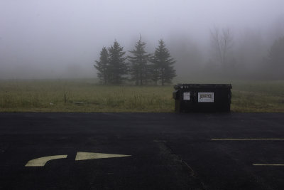 Arrow, Pines, Dumpster