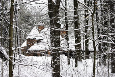Amity House, Trees, Snow