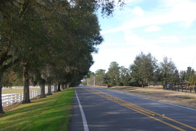 ocala