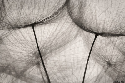 6H9A5232_10244.jpg