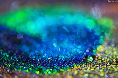 6H9A7021_1024.jpg