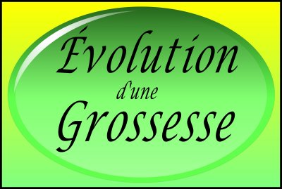 Évolution d'une Grossesse