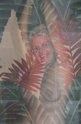 g9/50/970950/3/163682293.LhRr765z.jpg
