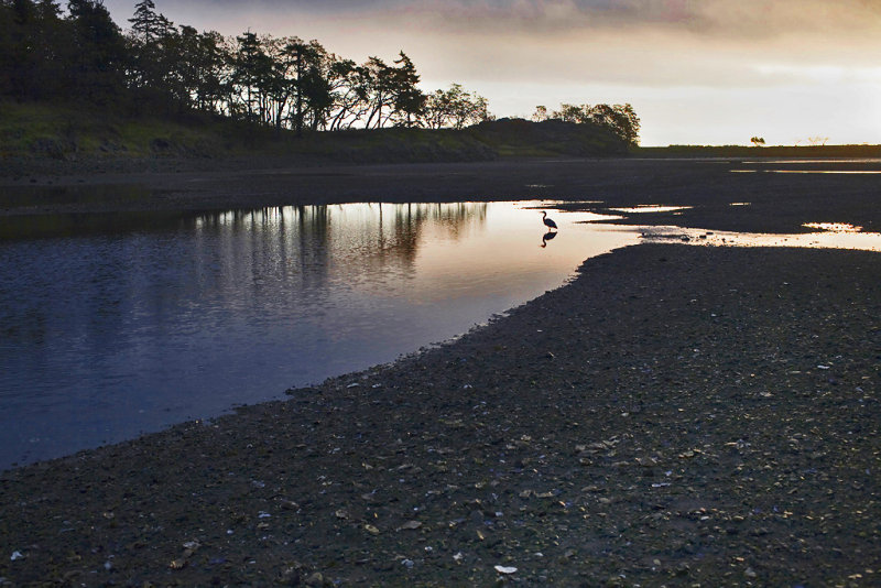 Early Morning Fishing