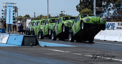 Bug'O'Rama