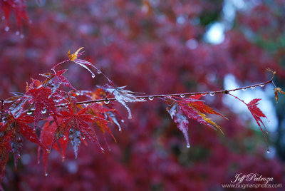 Fall Colors Already Here