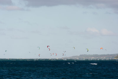 2073 Kanaha Beach Kite Surfers