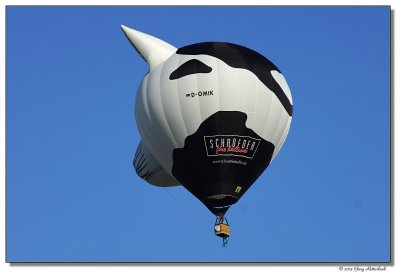 g9/51/308851/3/151878485.hVJ0EsW6.jpg