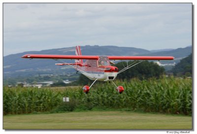 a77-11583-bellanca-sm.JPG