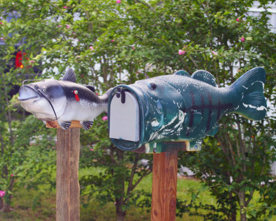 Interesting mailboxes