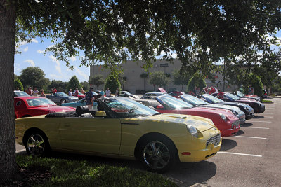 5DII_4426_800LQ.jpg