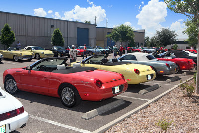 5DII_4483_800LQ.jpg