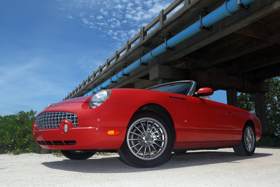 5DII_4865a_800.jpg