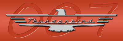 Tbird_logo_test.jpg