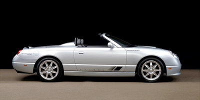 SaleenBonspeed_01_1000.jpg