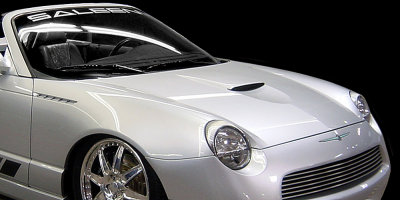 SaleenBonspeed_02_1000.jpg
